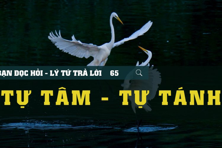 Tự Tâm và Tự Tánh