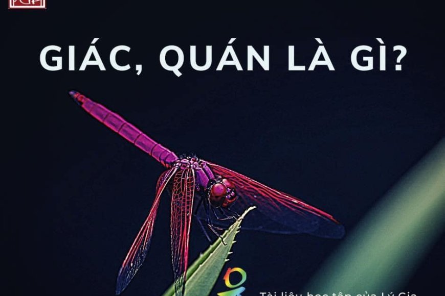 Giác, Quán Là Gì
