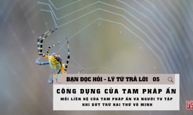 Tam Pháp Ấn