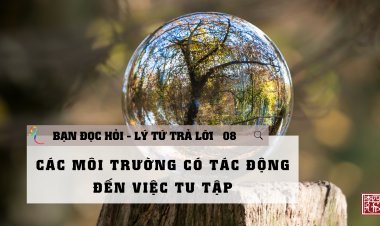 Môi Trường Tu Tập