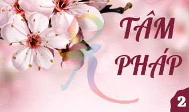 Đại Kinh THÍ DỤ LÕI CÂY