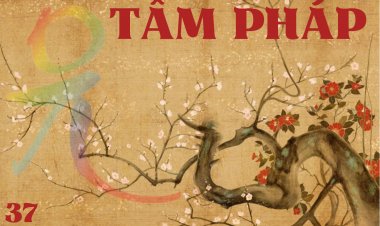 Báo Thân Phật, Hóa Thân Phật và Pháp Thân Phật
