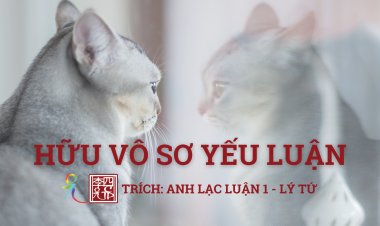 Hữu Vô Sơ Yếu Luận 
