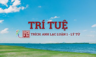 Trí Tuệ