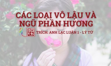 Các Loại Vô Lậu Và Ngũ Phần Hương