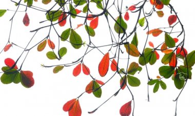 Tổng Hợp Tâm Sự Huynh Đệ
