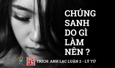 Chúng Sanh Do Gì… Làm Nên?