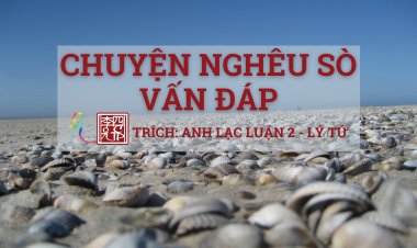 Chuyện Nghêu Sò Vấn Đáp