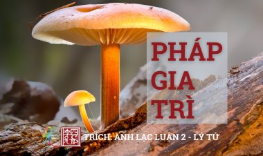 Pháp Gia Trì