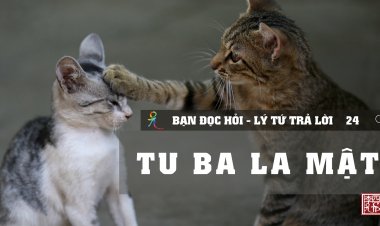 Tu Ba La Mật