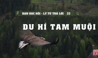 Du Hí Tam Muội