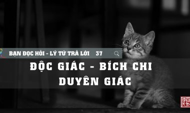 Độc Giác - Bích Chi - Duyên Giác