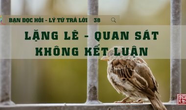 Lặng Lẽ - Quan Sát - Không Kết Luận