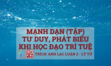 Mạnh Dạn… (Tập) Tư Duy Phát Biểu… Khi Học Đạo Trí Tuệ