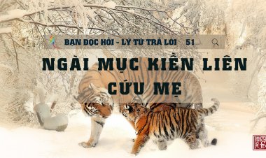 Mục Kiền Liên Cứu Mẹ
