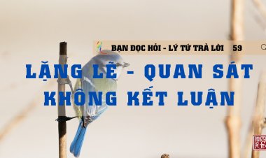 Lặng Lẽ - Quan Sát - Không Kết Luận