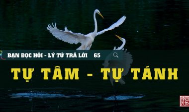 Tự Tâm - Tự Tánh