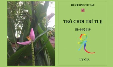 Chủ Đề: Tứ Niệm Xứ