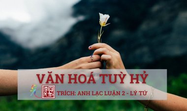 Văn Hóa Tùy Hỷ