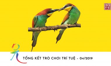 Tổng Kết Chủ Đề: Tứ Niệm Xứ
