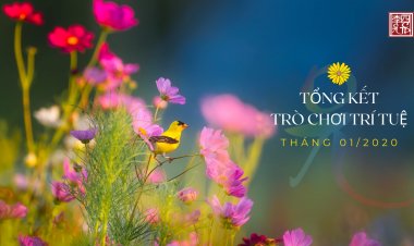 Tổng Kết Chủ Đề: Trạch Pháp Giác Chi