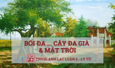 Bối Đa… Cây Đa Già Và Mặt Trời