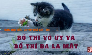 Bố Thí Vô Úy Và Bố Thí Ba La Mật