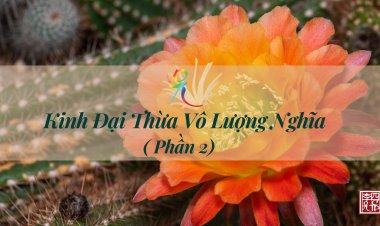 Kinh Đại Thừa Vô Lượng Nghĩa - Phần 2