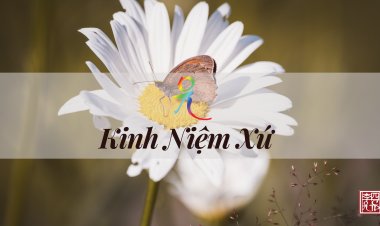 Kinh Niệm Xứ