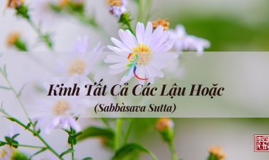 Kinh Tất Cả Các Lậu Hoặc (Sabbàsava sutta)