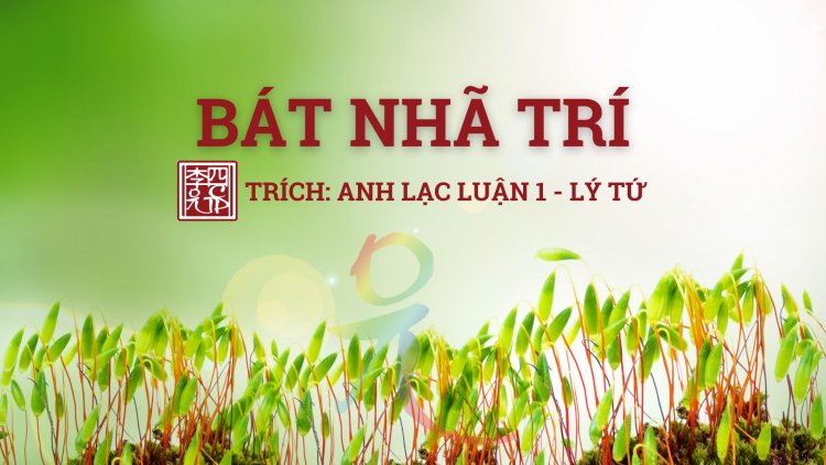 Bát Nhã Trí