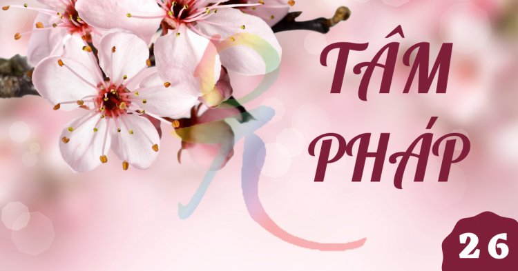 Đại Kinh THÍ DỤ LÕI CÂY