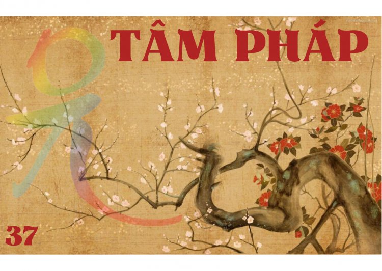 Báo Thân Phật, Hóa Thân Phật và Pháp Thân Phật