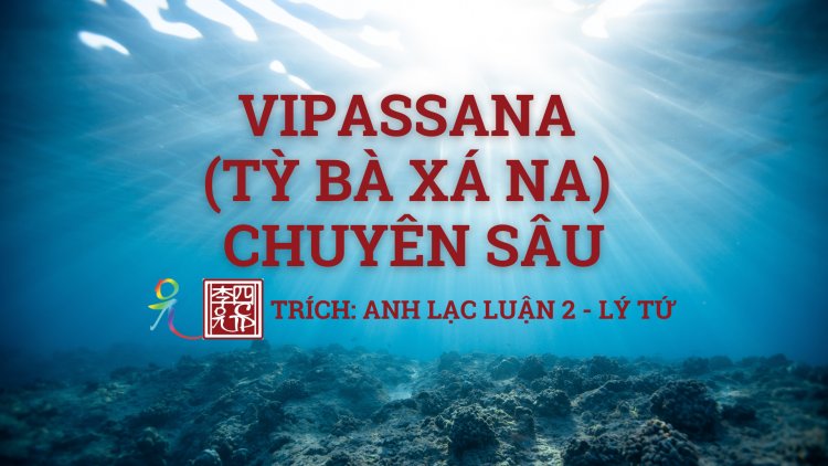 Vipassana (Tỳ Bà Xá Na)… Chuyên Sâu