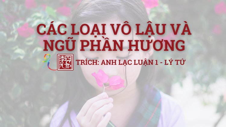 Các Loại Vô Lậu Và Ngũ Phần Hương