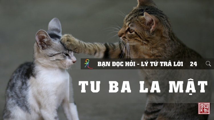 Tu Ba La Mật