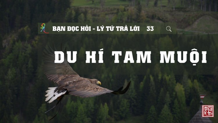 Du Hí Tam Muội