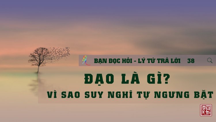 Đạo Là Gì? Vì Sao Suy Nghĩ Tự Ngưng Bặt