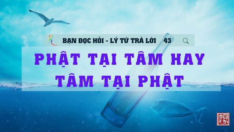 Phật Tại Tâm Hay Tâm Tại Phật