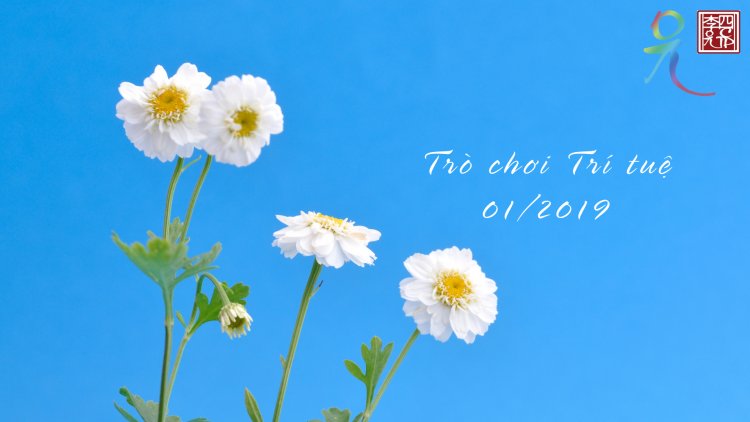 Chủ Đề: Xử Lý Ba Độc Tham - Sân - Si