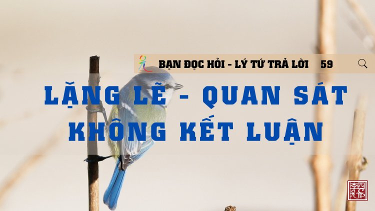 Lặng Lẽ - Quan Sát - Không Kết Luận