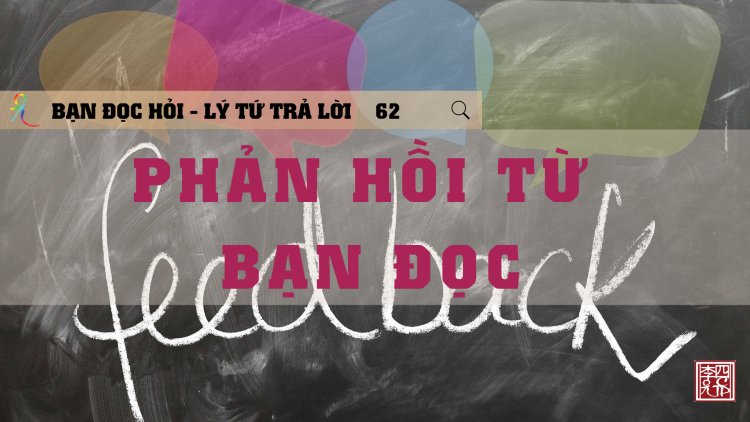 Phản Hồi Từ Bạn Đọc