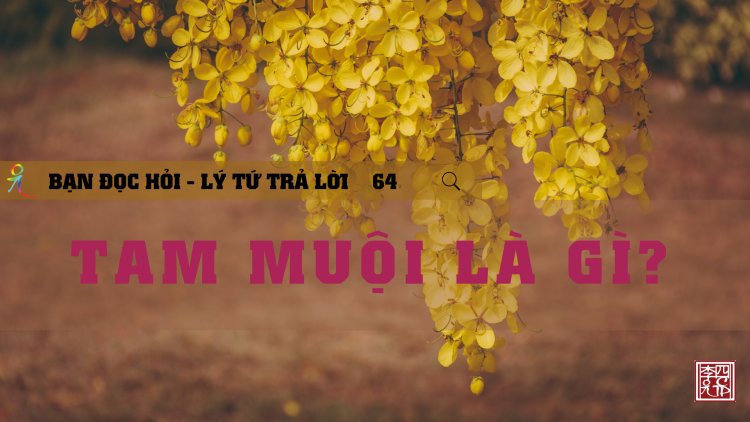 Tam Muội Là Gì?