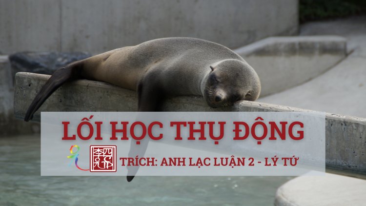 Lối Học Thụ Động