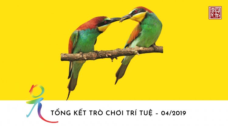 Tổng Kết Chủ Đề: Tứ Niệm Xứ