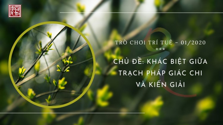 Sự Khác Biệt Giữa Trạch Pháp Giác Chi Và Kiến Giải