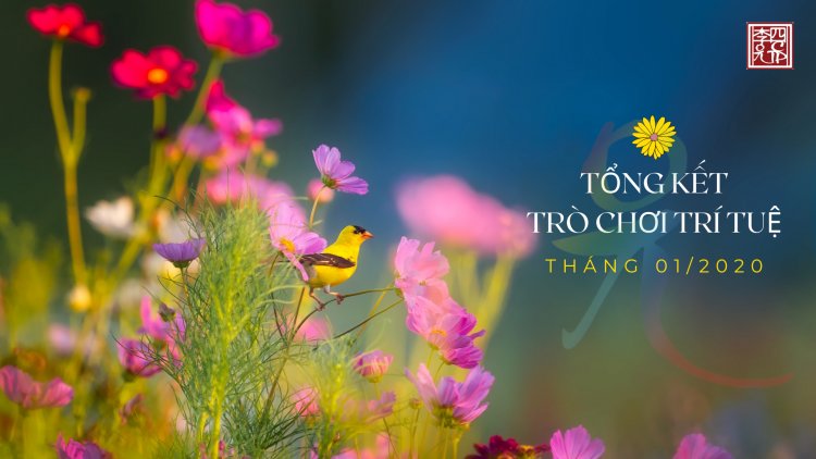Tổng Kết Chủ Đề: Trạch Pháp Giác Chi