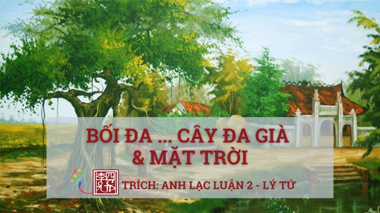 Bối Đa… Cây Đa Già Và Mặt Trời