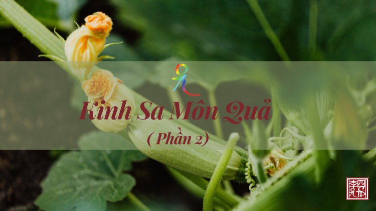 Kinh Sa Môn Quả - Phần 2