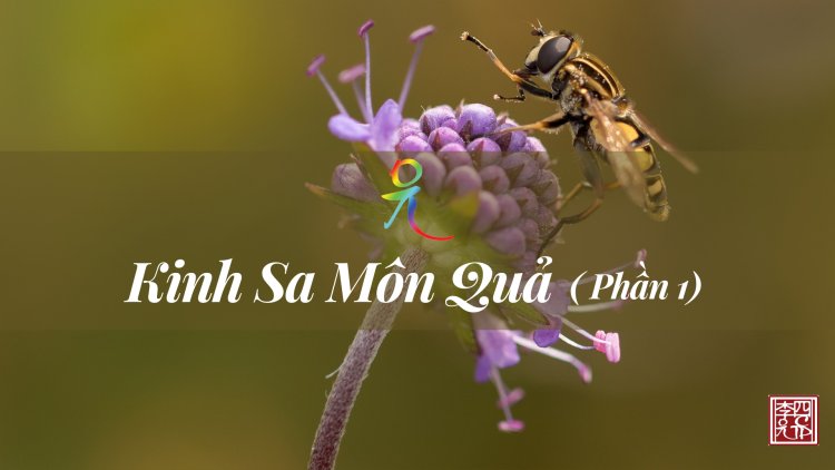 Kinh Sa Môn Quả - Phần 1